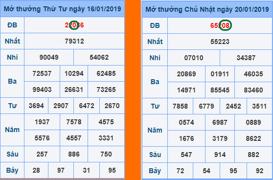 cach-lap-dan-de-10-so-nuoi-khung-3-ngay5-1